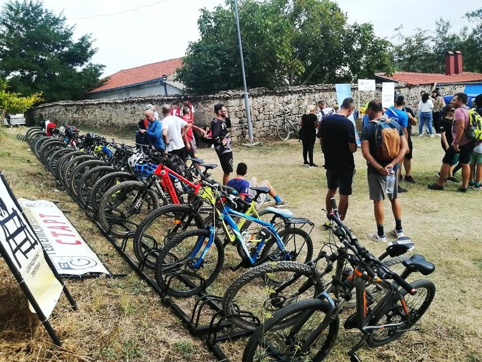 Bikes lined up for an event